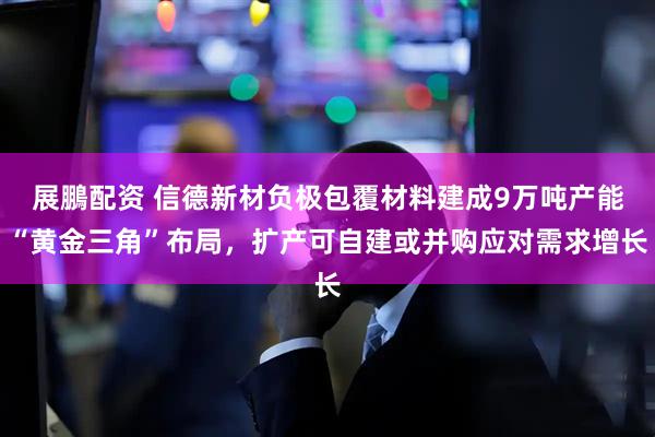 展鵬配资 信德新材负极包覆材料建成9万吨产能“黄金三角”布局，扩产可自建或并购应对需求增长