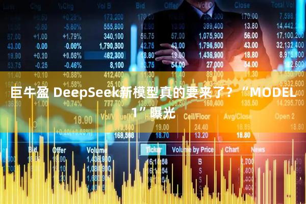 巨牛盈 DeepSeek新模型真的要来了？“MODEL1”曝光