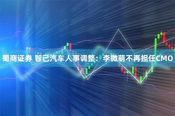 蜀商证券 智己汽车人事调整：李微萌不再担任CMO