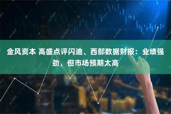 金风资本 高盛点评闪迪、西部数据财报：业绩强劲，但市场预期太高